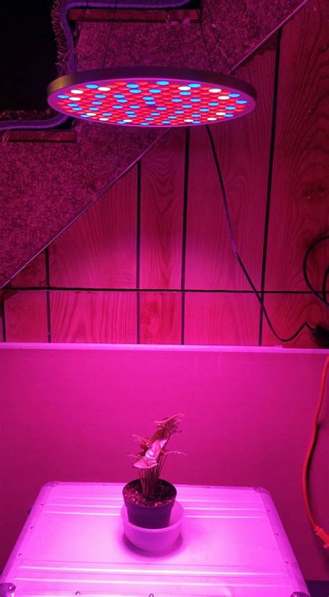 There's review out there, you just don't know where to look, here's a led review: Lefty's Product Review's: 50W LED Grow Light Panel, Niello ...