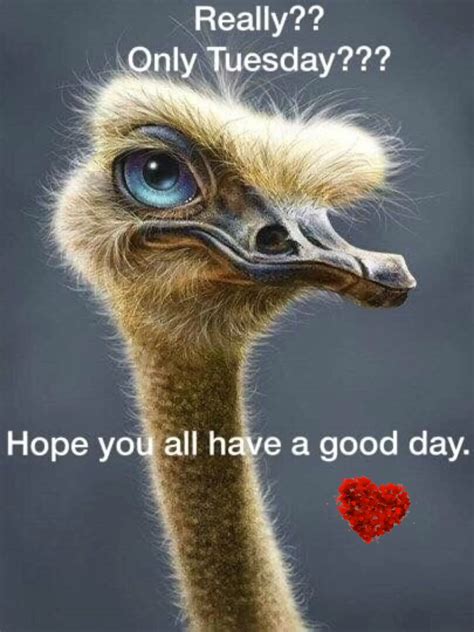 Have A Wonderful Day Funny