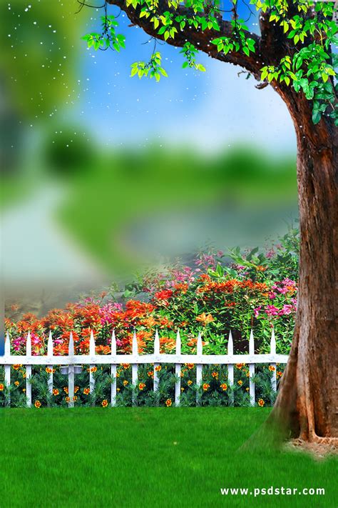 Nature Background For Editing Full Hd Inselmane