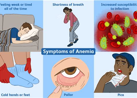 Aplastic Anaemia A Rare And Serious Blood Disorder Targeting Youths