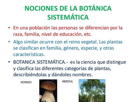 Botánica Sistemática