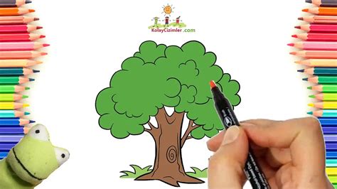 Ağaç Nasıl Çizilir Adım adım Ağaç Çizimi Kolay Çizimler