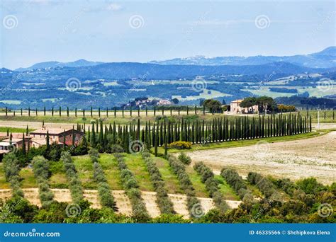 Typical Tuscan Landscape Stock Photo Image Of Rest Rural 46335566