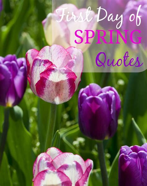 First Day Of Spring Funny Quotes Quotesgram