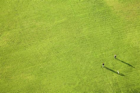 Aerial View Of Large Green Lawn People By Gravity Images