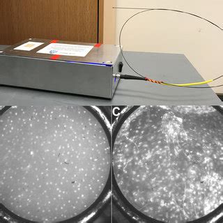 Optical Coherence Tomography Oct In The Oral Mucosa A C Photograph