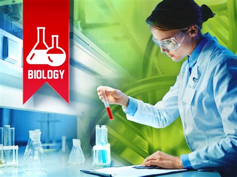 Jobs to do with a biology degree. What Can You Do With A Biology Degree? | Monster.com