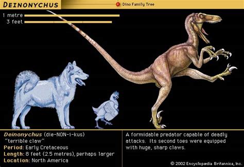 Deinonychus | dinosaur genus | Britannica.com