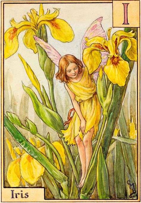 The Iris Fairy Flower Fairies