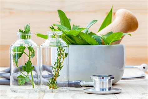 Quest Ce Quune Plante Médicinale Doctissimo