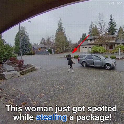 package thief caught