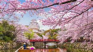 Cherry Blossom Lake Sakura Japan Photo Credit To Sean Pavone 3840