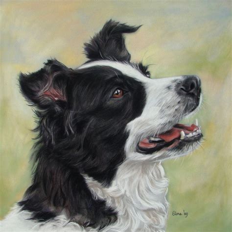 Border Collie By Eline Portraits On Deviantart Border Collie Art Dog