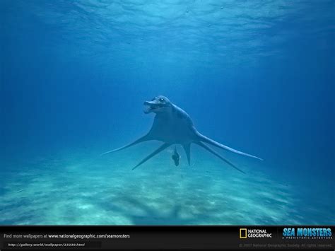 Scaricare Gli Sfondi Sea Monsters 3d A Prehistoric Adventure Mostri