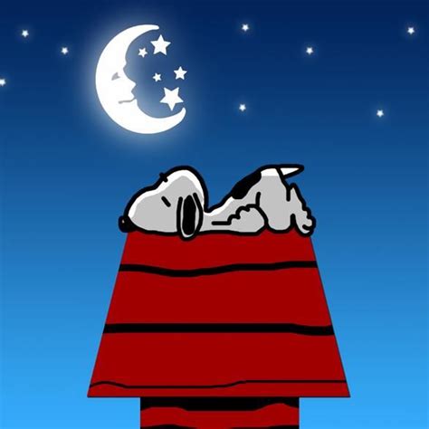 March 2 9 Snoopy Sleeping Remind Us To Be Aware Of Sleep What Is The