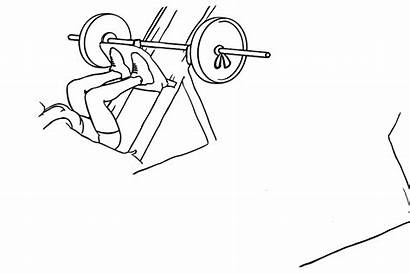 Leg Press Machine Exercise Squat Workout Workoutlabs