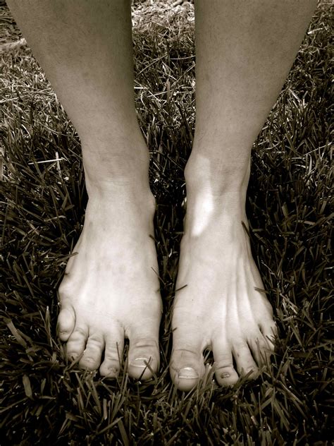 10 Toes On The Ground Ways To Make Myths ~ Jenna Penielle Lyons