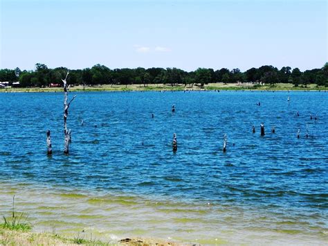 Fork receives top priority for receiving stockings of florida strain largemouth bass in texas. Visit Pope's Landing Marina and enjoy the bass capital of ...