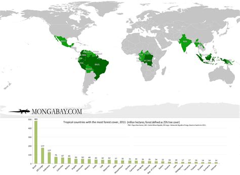 Rainforest On World Map Time Zones Map