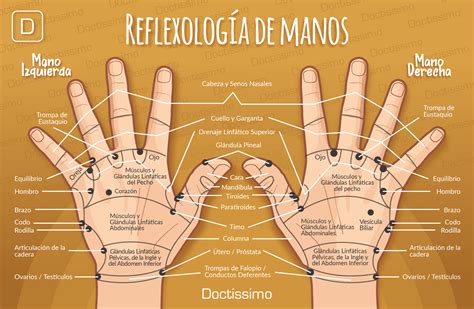 Resultado De Imagen Para Reflexoterapia Manos Reflexología