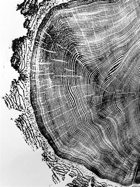 Heber Utah Douglass Fir Tree Ring Print Original Woodblock Etsy