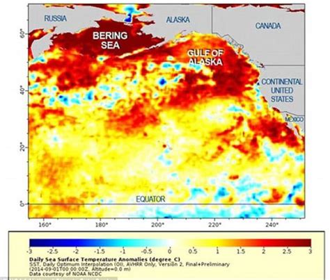 The Blob Five Years After Californias Biggest Marine Heatwave