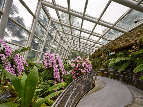 National Orchid Garden Enhancement Singapore Cpg Consultants