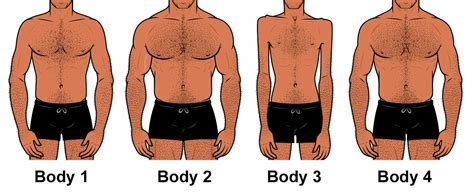 the ideal male body type according to women survey results
