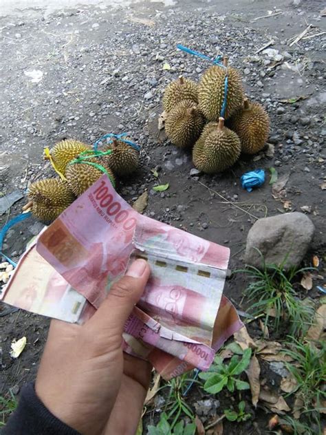 Penjual Durian Ini Kena Tipu Uang Palsu Rp 300 Ribu