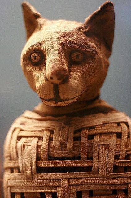 69 Best Mummies Images On Pinterest The Mummy Civilization And Day