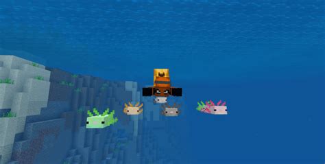 Axolotls Minecraft Pe Addonmod 116