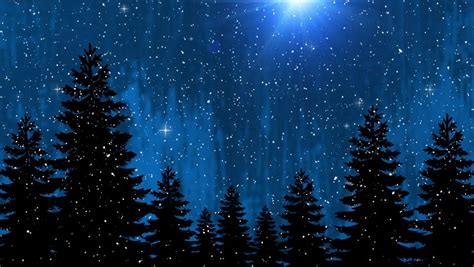Sparkling Christmas Trees In The Starry Night Shining Pine Trees In