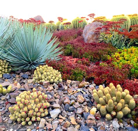 Desert Landscaping Ideas Making The Dream Reality