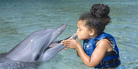 Hilton Waikoloa Village Dolphin Quest Take A Journey Into The Amazing