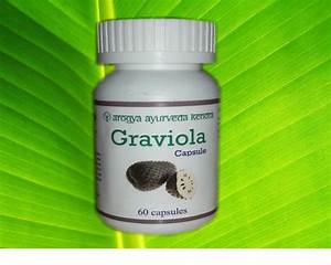 Graviola Soursop Capsules - Cancer Cure Medicine Manufacturer from New Delhi  Brain Tumor Herbal Medicine