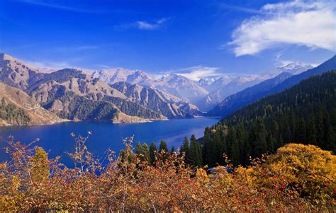 Tainchi Lake Urumqi Tianshan Tianchi National Park Heavenly Lake