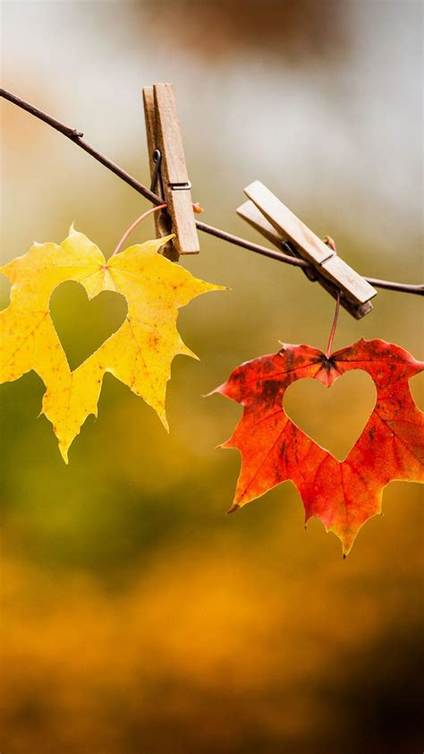 The Leaves Of Love 💛 Autumn Photography Fall Wallpaper Fall Pictures