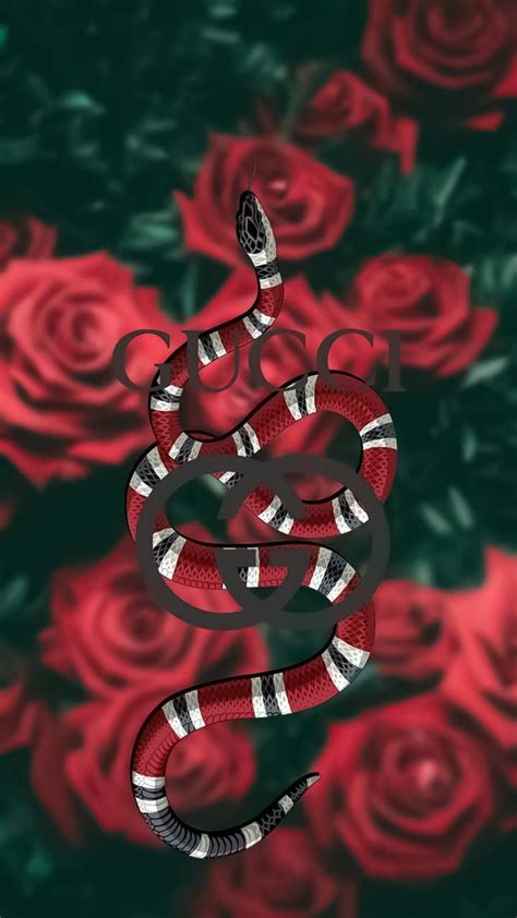 Gucci For Girls Wallpapers Wallpaper Cave