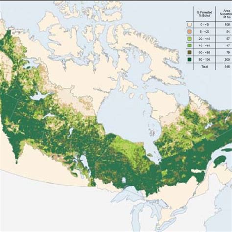 Access By Road In Canadas Forested Lands And Percent Forest Land