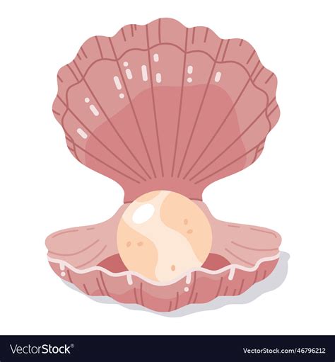 Open Clam Shell With Pearl Scallop Seashell Vector Image