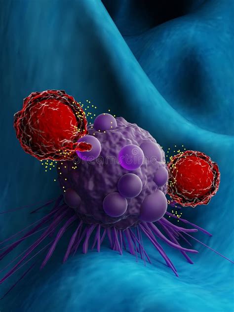 T Cells Attacking A Cancer Cell Stock Illustration Illustration Of