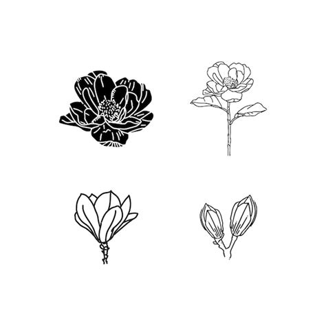 Conjunto De Ilustraciones De Flores Dibujadas A Mano Vector Premium