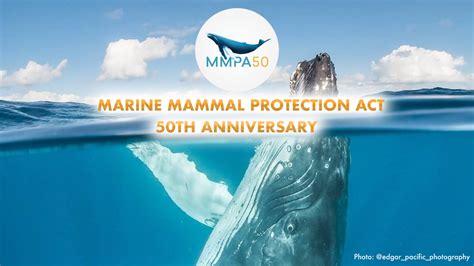 Ocean Conservation Research On Linkedin Celebrating 50 Years Of The