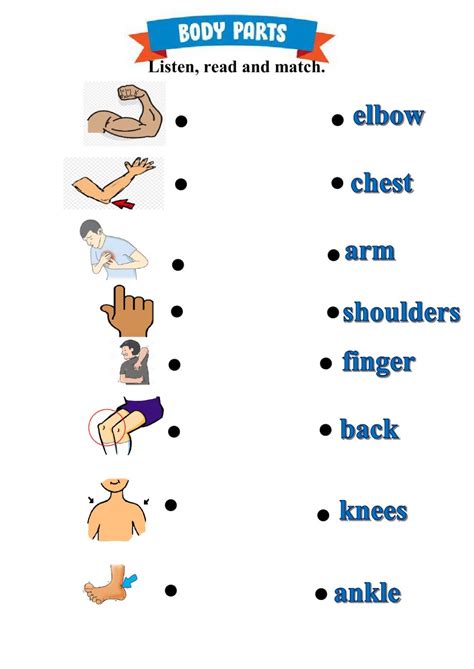 Parts Of The Body Online Exercise For Grade 1