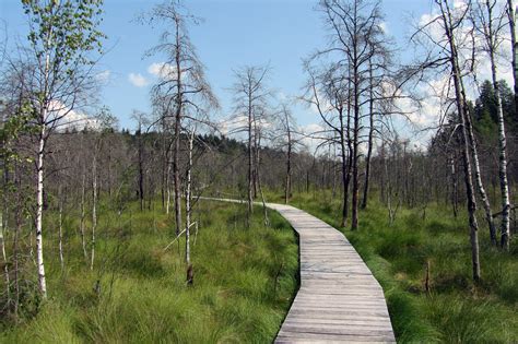 Wallpaper Landscape Nature Wilderness Lithuania Wetland Ridge