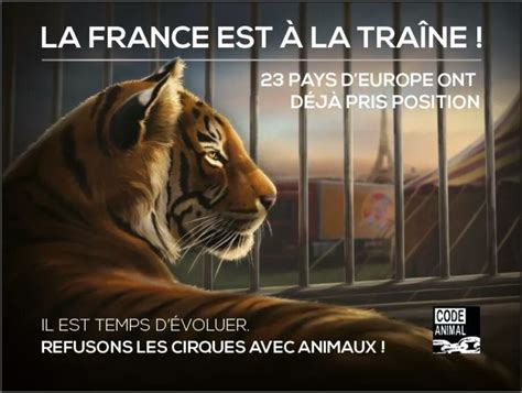 Paris Une Campagne Daffichage Dans Le Métro Contre Les Cirques Avec