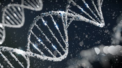 Contoh Mutasi Gen Pada Makhluk Hidup Hewan Tumbuhan Dan Manusia Sexiz Pix