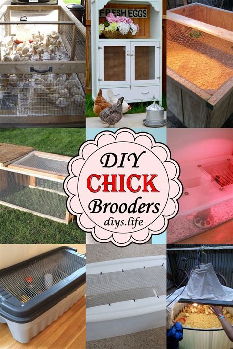 15 Diy Chick Brooder Ideas For Poultry Lover Diys