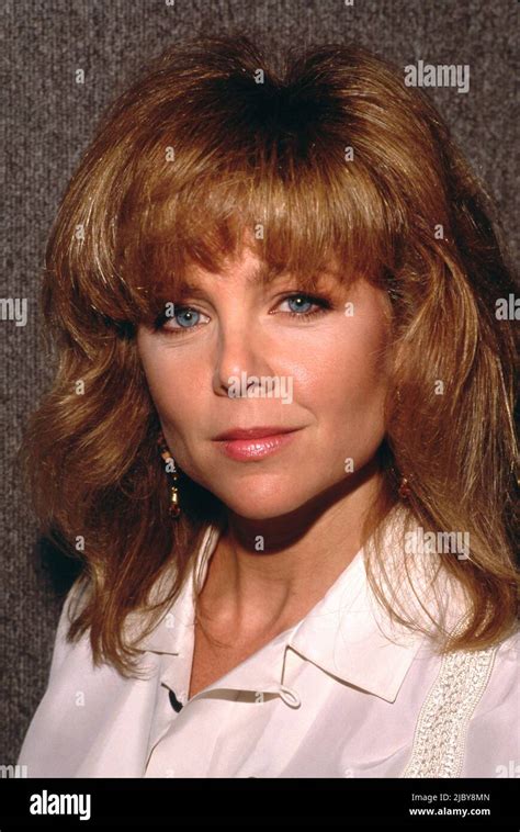 Lisa Hartman Circa 1980s Credit Ralph Dominguezmediapunch Stock