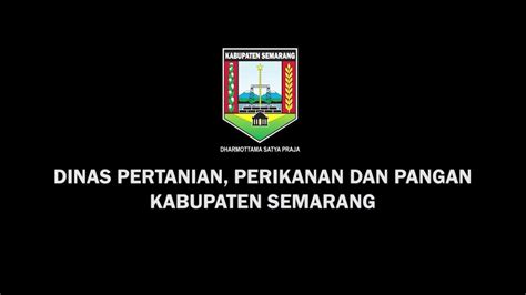 Profil Dinas Pertanian Perikanan Dan Pangan Kabupaten Semarang Youtube